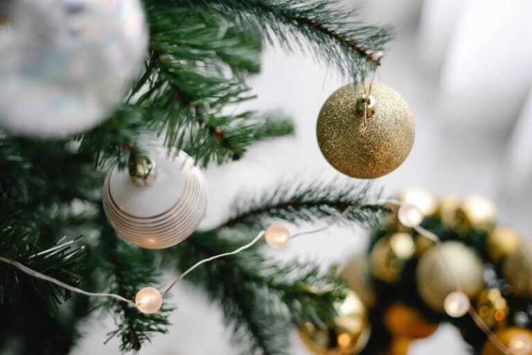 Christmas At Your Home The New Fad Charging Guests Ivanhoe Christmas Tree Farm