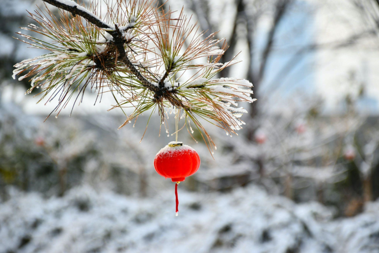 The King of Christmas Trees: Why a Flocked Tree Can Bring Family Unity and Joy for Children